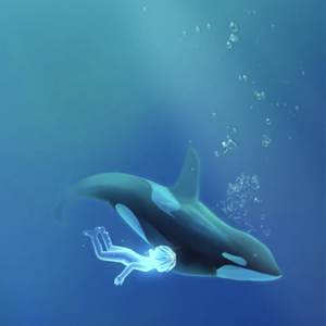 想见你想见你想见你