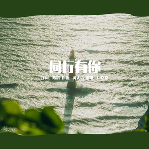 同行有你