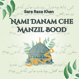 Nami Danam Che Manzil Bood