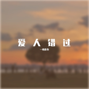 爱人错过（吉他女生抒情版）