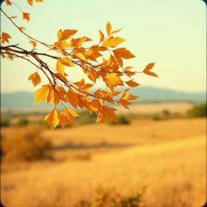 Złote liście _ Golden Leaves