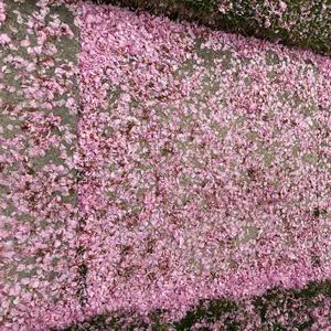 nostalgia burns (feat. nicho, st jimmy & tigerstar)