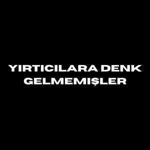 Yırtıcılara Denk Gelmemişler