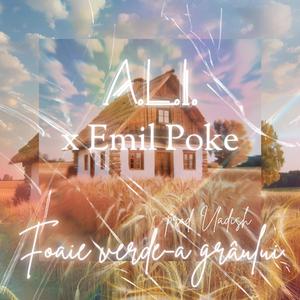 Foaie verde-a grâului (feat. Emil Poke & Vladish)