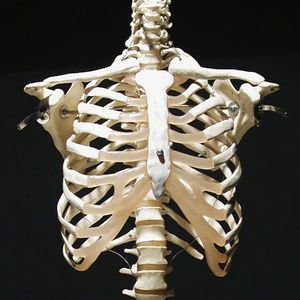 [Trap]BOBBYNOPEACE X SASIOVERLXRD Type beat - 困了