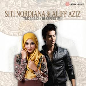 Tak Ada Cinta Sepertimu
