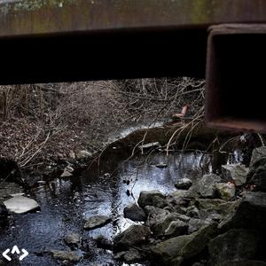 xerox (feat. nisshoku)