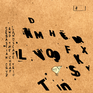 Tantas flores y no hay jardín