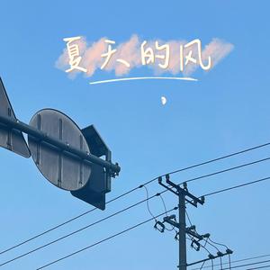 夏天的风（Remix）