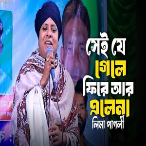 সেই যে গেলে ফিরে আর এলে না