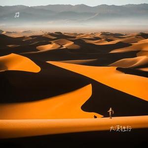 大漠独行