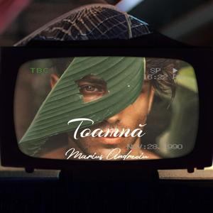 Toamnă