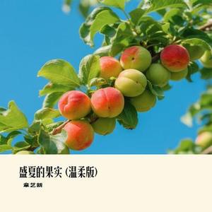 盛夏的果实   (Cover 四四真累)