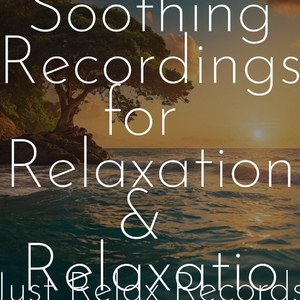 Galactic Symphony Scintillates