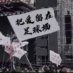 我一定会为巴西赢得世界杯的