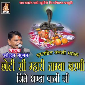 छोटी सी म्हारी तांबा बरणी जीमे ठंडों पानी जी || सोहन सुमन || ऊत जी भजन