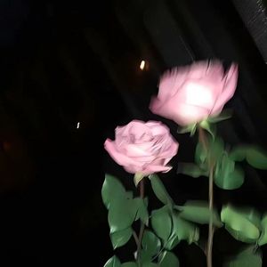 原来 (间奏热播版)