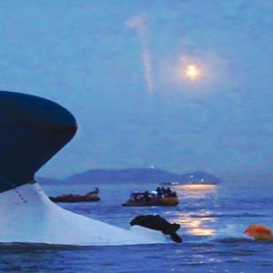 유채꽃 사월(ver. 416)