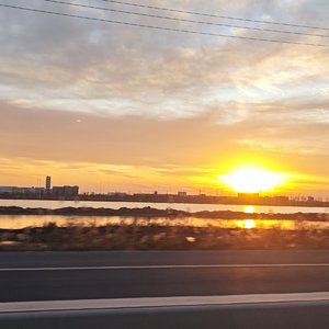 球球是我的小狗狗