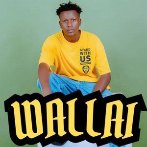 Wallai