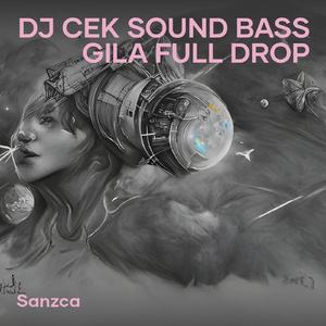 Dj Cek Sound Bass Gila Full Drop