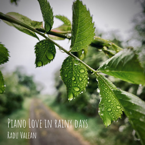 Piano Love in the Rainy Days