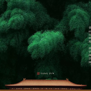 《山外小楼夜听雨》