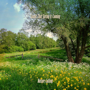 Sound That Spring Is Coming