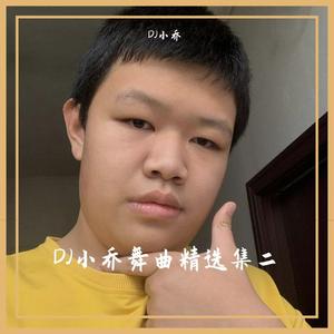 像蝴蝶一样飞（DJ小乔 remix）