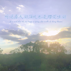 听说春天的海风也是樱花味的