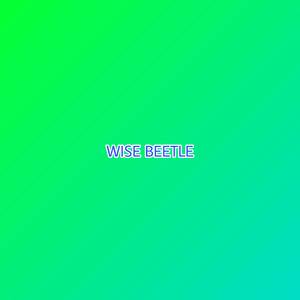 Wise Beetle