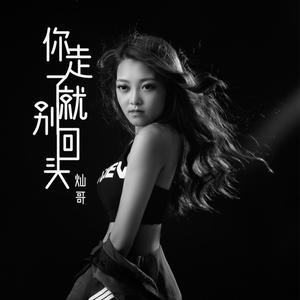 你走了就别回头