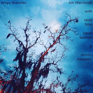 Wispy Branches (feat. Jared Sims, Davin Seamon & Jeremy Katalenic)