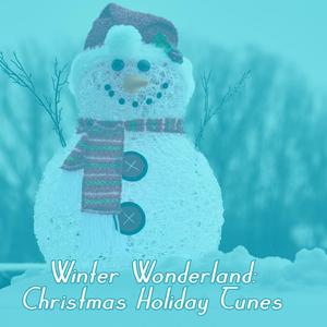 Rudolph Reindeer Merry Christmas Santa Bells