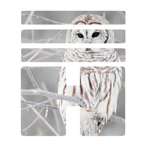 Losing Myself (VIP Mix)