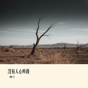 没有人心疼我（Cover 陈雪凝）