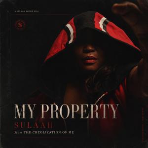 MY PROPERTY