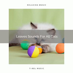 All Leaves Tunes For Your Cats