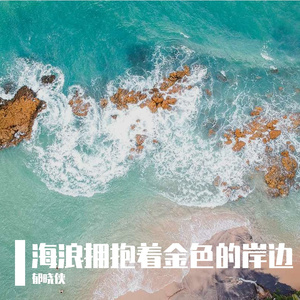 海浪拥抱着金色的岸边