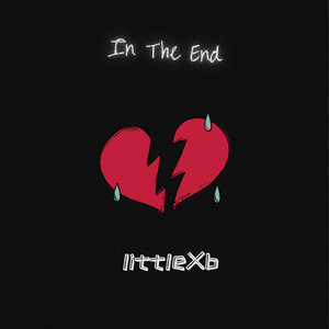 In The End (prod.4RealBeatz)