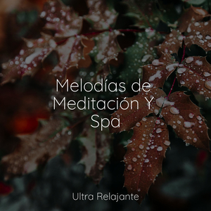 Hermoso Descanso Nocturno