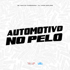 Automotivo no Pelo
