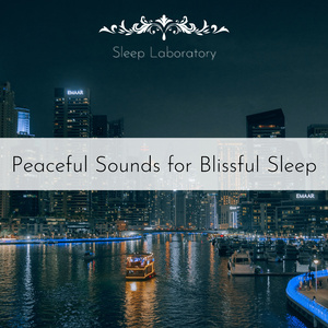 The Sound of Snoring