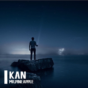 KAN（MR.PINEAPPLE remix）