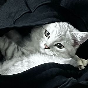 琉璃 Prod. Yn1Jasper