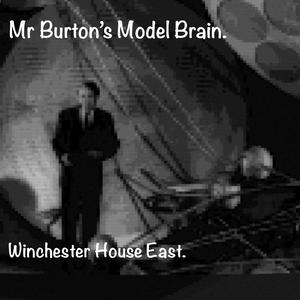 Mr Burton's Model Brain.