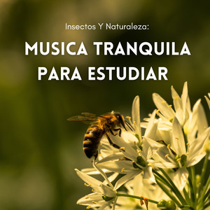 Mariquitas Aprendiendo