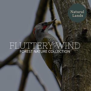 God's Own Mid Day Lake