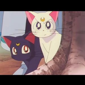 Chaos emerald (feat. Byakko)