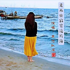 伤心的雨无情的你